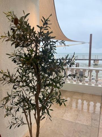 Hotel Restaurant Juanito Platja Sant Carlos de la Ràpita Dış mekan fotoğraf